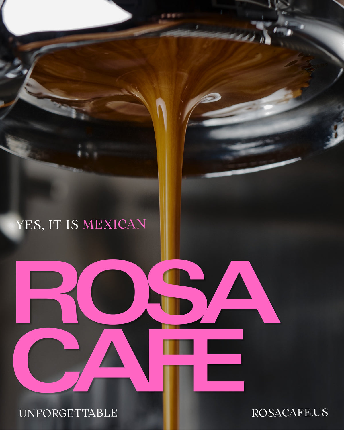 Rosa Cafe Vol 1